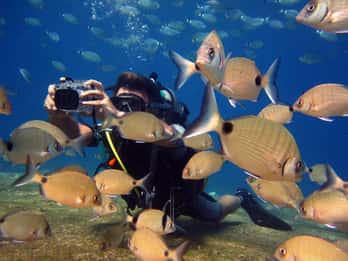Fethiye: Ölüdeniz Scuba Diving Tour