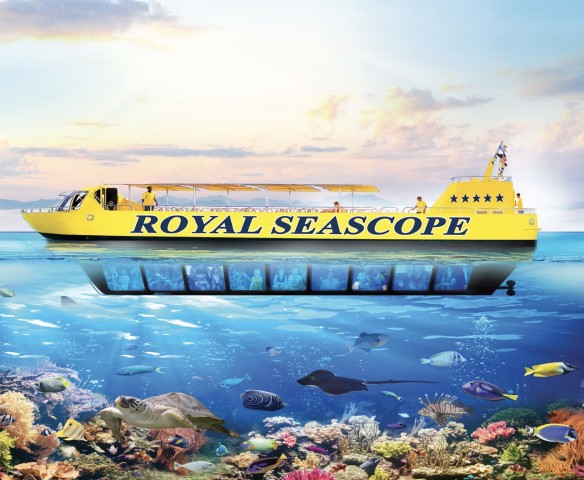 Visit Dahab Royal seascope Semi-Submarine Cruise in Dahab, Egypt