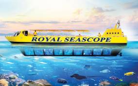 Dahab: Royal seascope Semi-Submarine Cruise