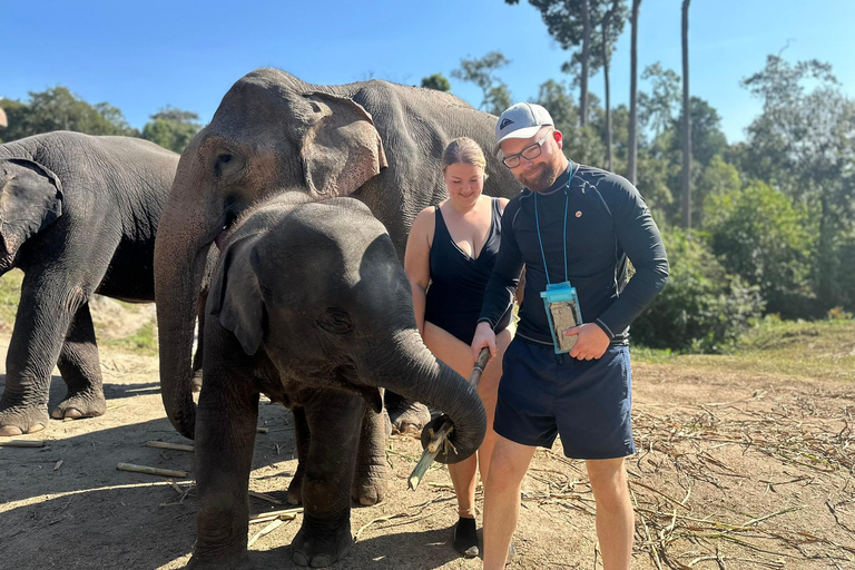 Chiang Mai 2-Day: Good Morning Elephant & Overnight Homestay