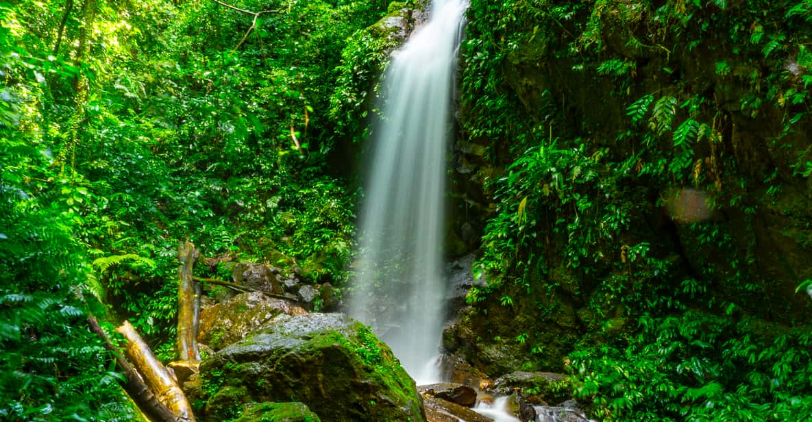 From San Pedro Sula: Azul Meámbar National Park Day Tour | GetYourGuide