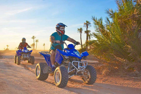 Desert and Palmeraie Quad Biking in Marrakech