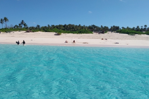 Nassau: zwemmen met schildpadden 4-uur durende boottocht op Rose IslandGroepsreis