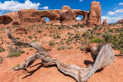 Arches National Park: Driving Tour with Audio Guide