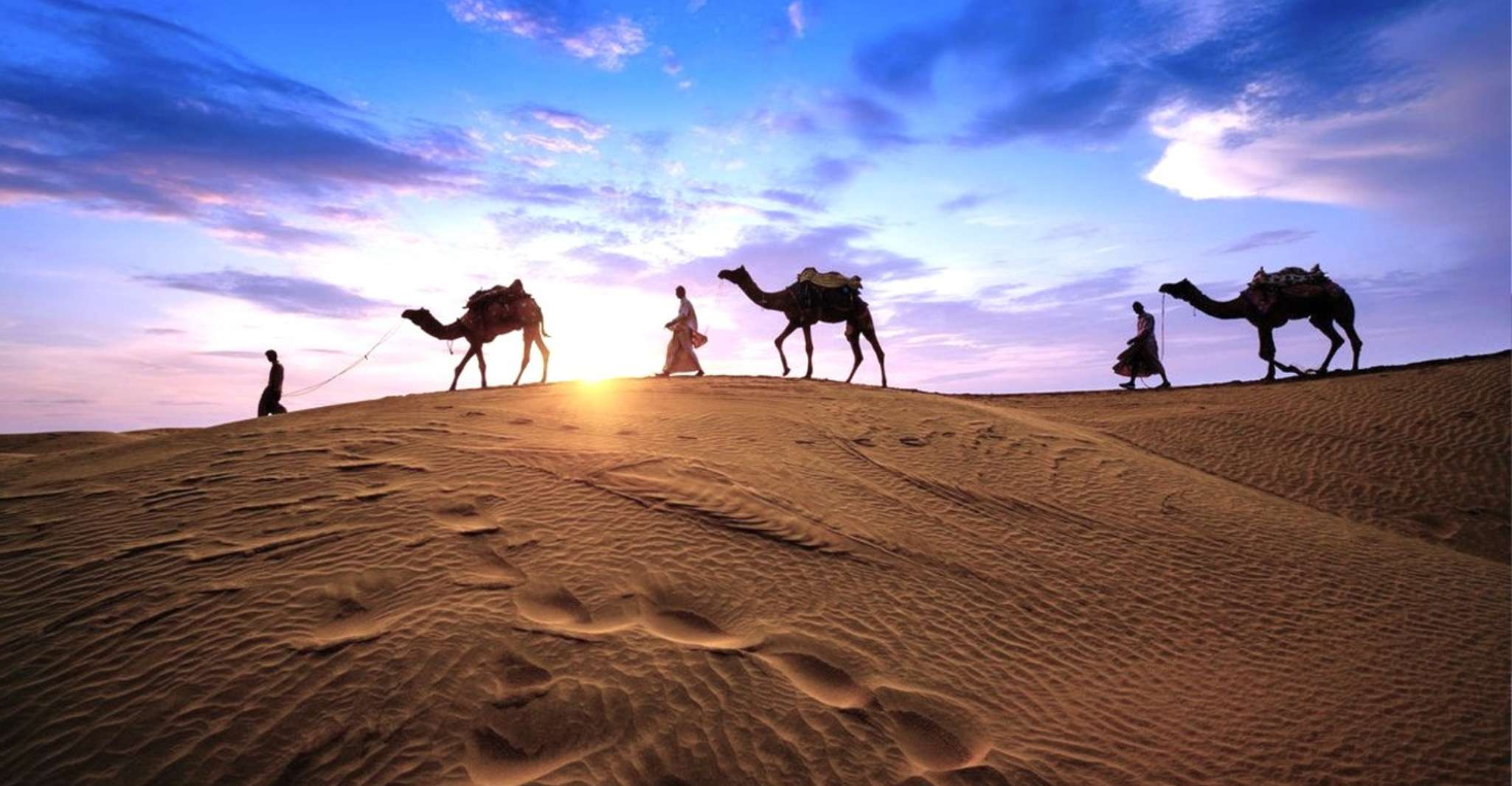 Doha: Dune Safari, Camel Ride, & Sandboarding with Transfer photo 12