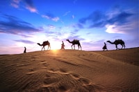 Doha, Desierto Safari, Duna Bashing, Paseo en camello y Sandboarding - Hizvo