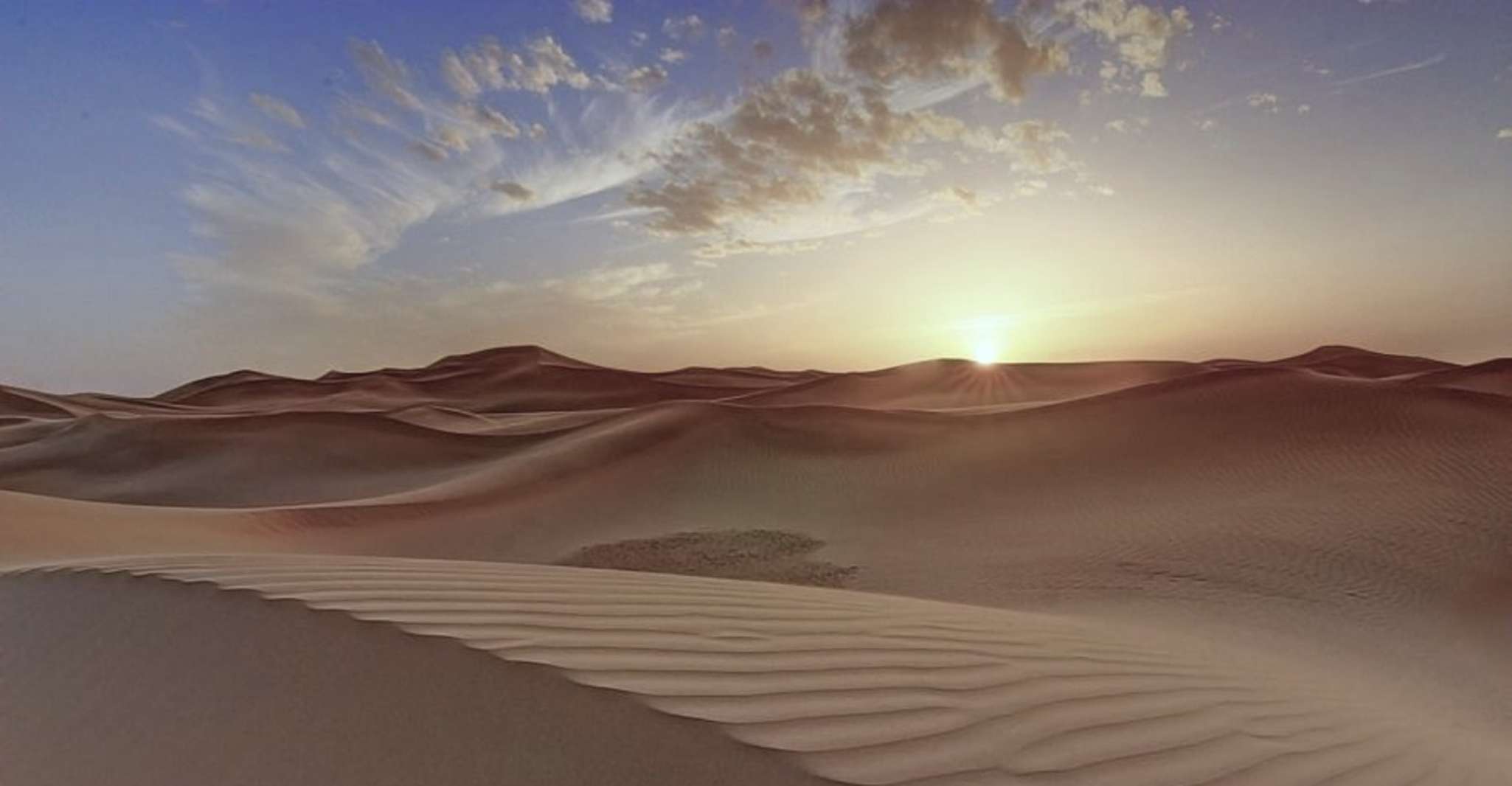 Doha: Dune Safari, Camel Ride, & Sandboarding with Transfer photo 19