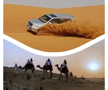 Doha: Desert Safari, Dune Bashing, Camel Ride & Sandboarding