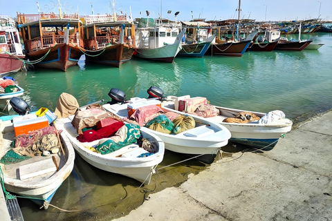 Combo de Historia y Patrimonio por el Norte y el Oeste de Qatar