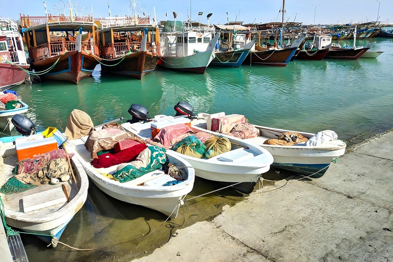 Doha: Tour histórico e patrimonial pelo norte e oeste do CatarDoha: excursão pela história e patrimônio do norte e oeste do Catar