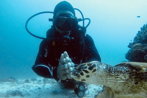 Muscat: Discovery Scuba Diving voor beginners in Daymaniat Is