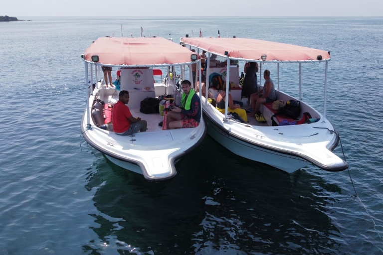 Muscat: Discovery Scuba Diving for Beginners In Daymaniat Is