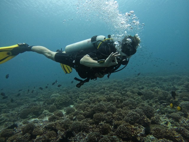 Muscat: duiken op de Daymaniat-eilanden voor beginners