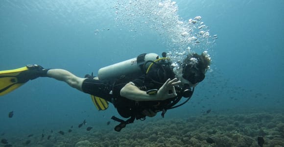 Muscat: Daymaniat Islands Scuba Diving for Beginners