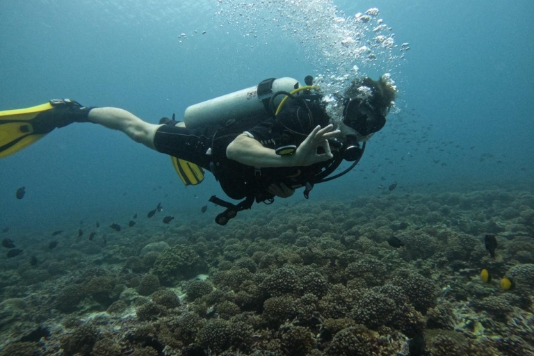 Mascate : Découverte de la plongée sous-marine pour les débutants à Daymaniat Is