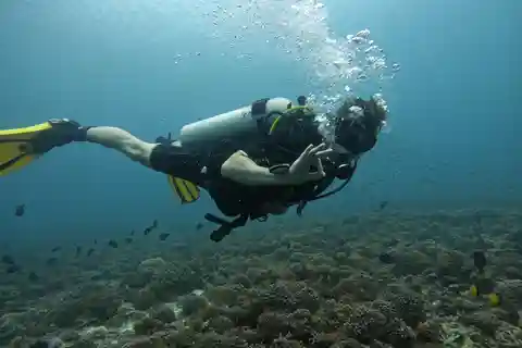 Muscat: Daymaniat Islands Scuba Diving for Beginners