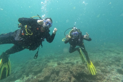 Mascate : Découverte de la plongée sous-marine pour les débutants à Daymaniat Is