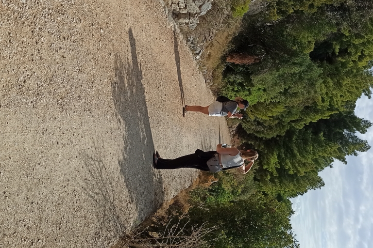 Split: Wanderung durch den Waldpark MarjanWanderung durch den Waldpark Marjan am Morgen