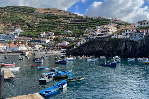 Madeira: Guided Tour discovering the North CoastPasseio Privado