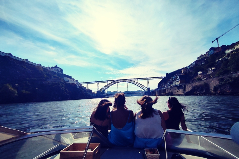 Porto: Passeio Privado de Barco no Rio Douro (max 6 px) 1h Standard Option