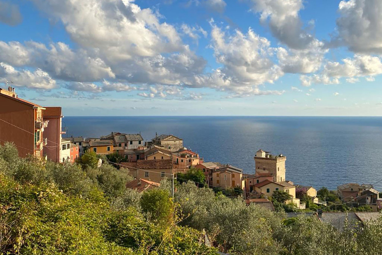 Levanto: Guided E-Bike Tour in Framura with Wine & Focaccia