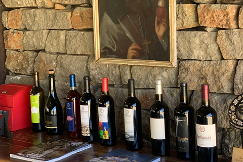 Nuitée de dégustation de vins à Valle de Guadalupe