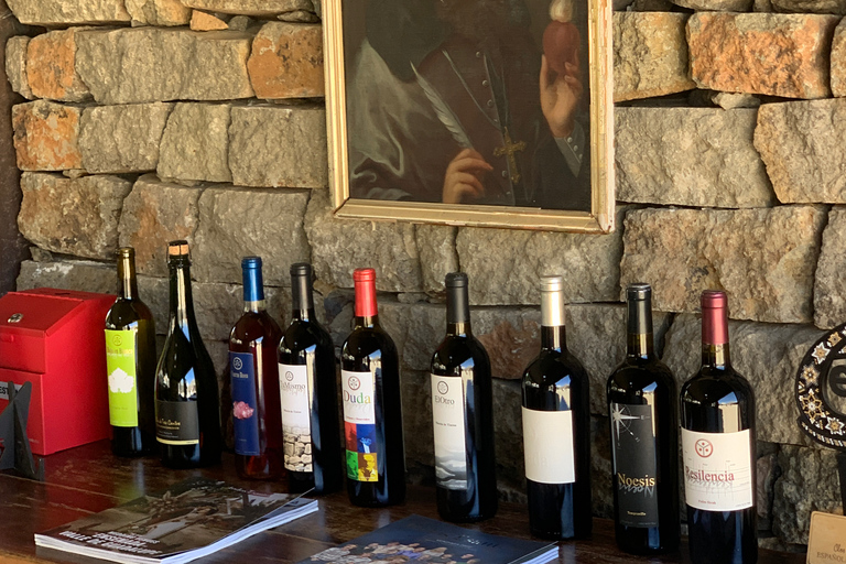 Tour nocturno de cata de vinos en el Valle de Guadalupe