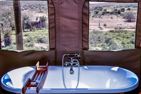 Au départ du Cap : 4 jours d'excursion de luxe sur la Route des jardins