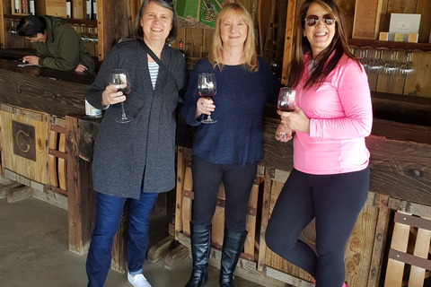 Tour nocturno de cata de vinos en el Valle de Guadalupe