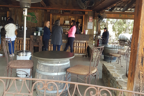 Tour nocturno de cata de vinos en el Valle de Guadalupe