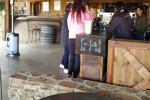 Tour nocturno de cata de vinos en el Valle de Guadalupe