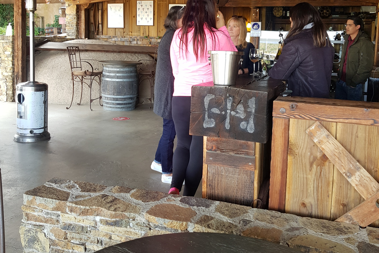 Tour nocturno de cata de vinos en el Valle de Guadalupe