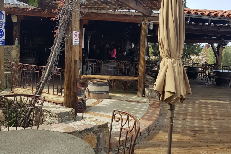 Tour nocturno de cata de vinos en el Valle de Guadalupe