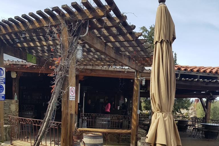 Tour nocturno de cata de vinos en el Valle de Guadalupe