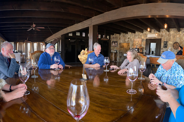 Tour nocturno de cata de vinos en el Valle de Guadalupe