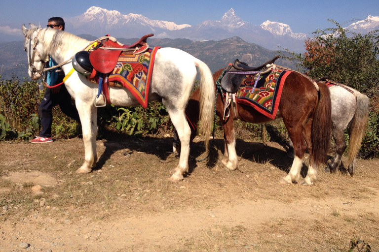 Pokhara: Paseo en caballo (poni) de 2,5 horas por la naturaleza