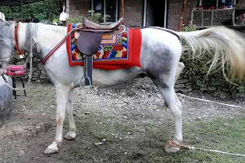 Pokhara: passeio de cavalo e pônei de 2,5 horas na natureza