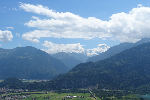 Depuis Zurich : Excursion d'une journée à Interlaken et point de vue du Harder Kulm