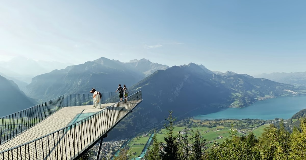 From Zurich Interlaken Day Trip and Harder Kulm Viewpoint GetYourGuide