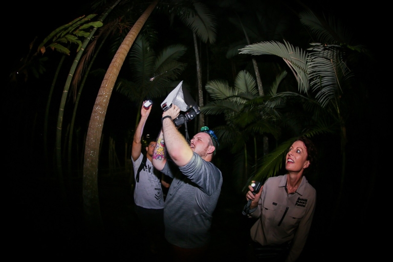Cairns: Nocny spacer po Ogrodzie Botanicznym w Cairns