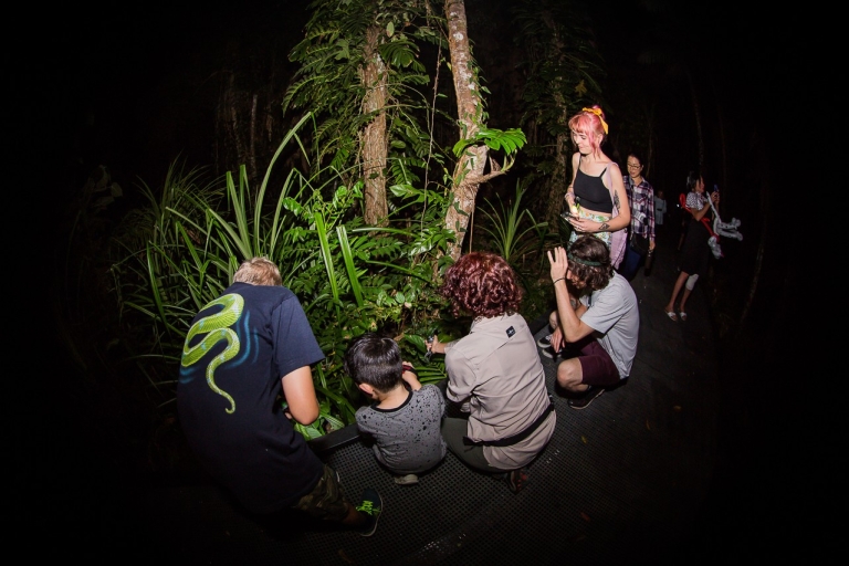 Cairns: nachtwandeling in de botanische tuin van Cairns