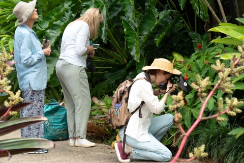 Cairns: visite photographique d'insectes des jardins botaniques de Cairns