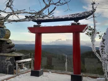 From Nha Trang: Day Trip to DaLat with Lunch