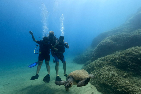 Heraklion: Scuba Diving Experience for First-TimersHeraklion: Scuba Diving for First-Timers, No Pickup