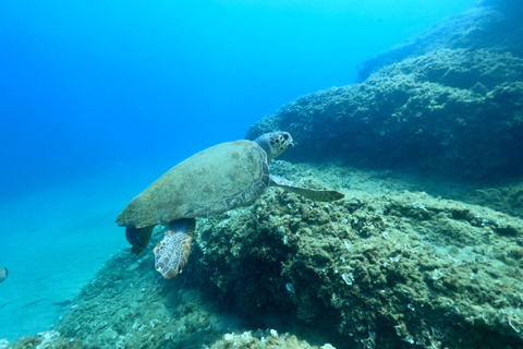 Heraklion: Scuba Diving Experience for First-TimersHeraklion: Scuba Diving for First-Timers, No Pickup