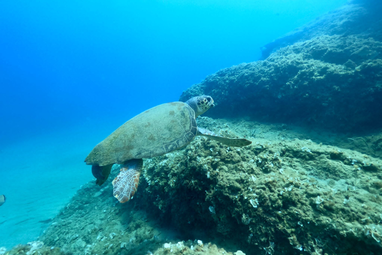 Heraklion: Scuba Diving Experience for First-TimersHeraklion: Scuba Diving for First-Timers, No Pickup