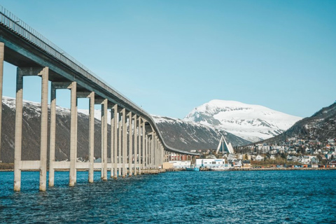 Promenade dans la ville de TromsøPromenade dans la ville de Tromsø Allemand