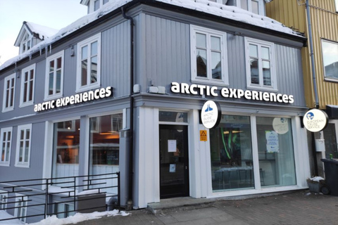 Promenade dans la ville de Tromsø