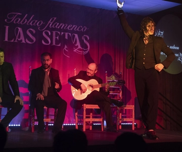 Seville: Flamenco Show & Roof Dinner with Cathedral Views