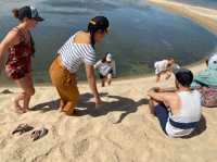 Dahla Vite Dune MCC Secsion - Housity